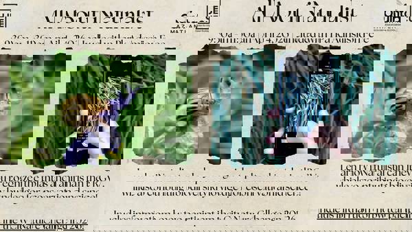 All About iNaturalist