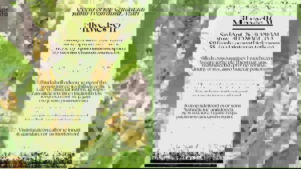 Milkweeds 101 Workshop