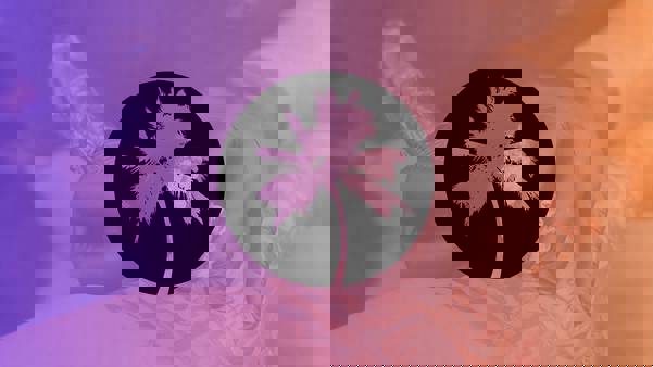 Palm City Tattoo Expo