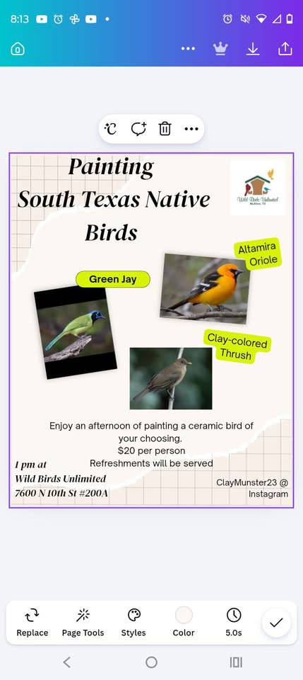 Painting South Texas Birds
