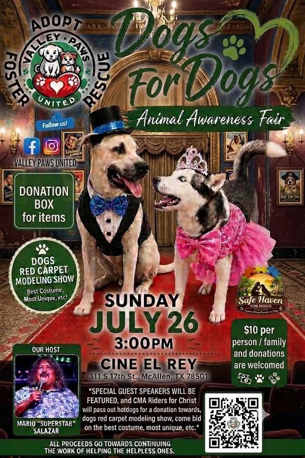 Dogs For Dogs