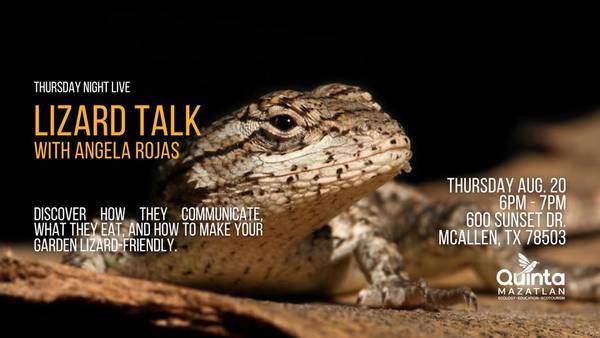 Lizard Talk