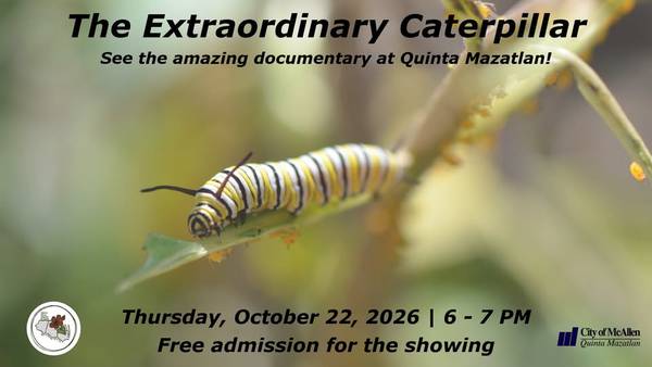 The Extraordinary Caterpillar (free documentary showing)