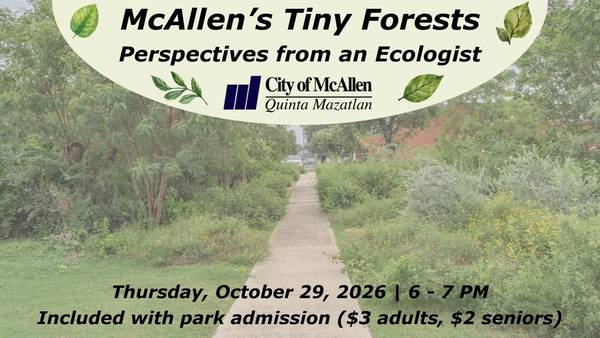 McAllen's Tiny Forests: Perspectives from an Ecologist